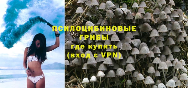 PSILOCYBIN Верхнеуральск