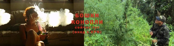 СК Волосово