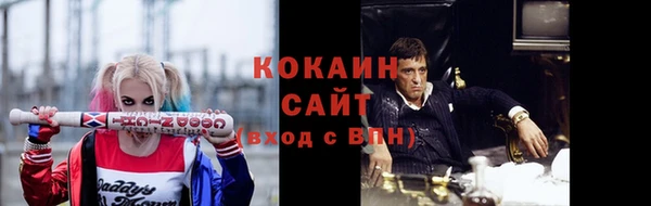 СК Волосово
