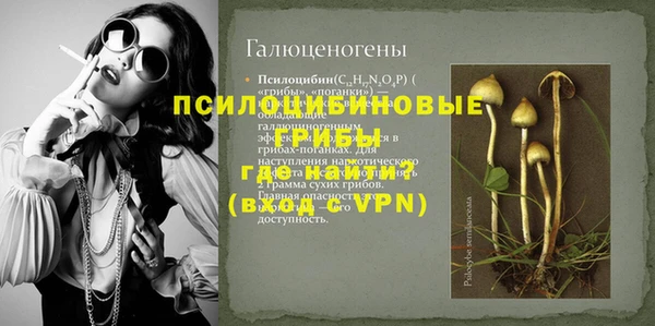 PSILOCYBIN Верхнеуральск