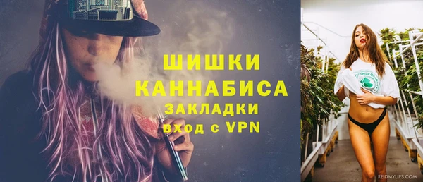 стаф Волоколамск