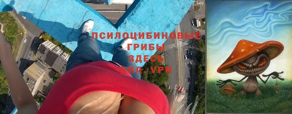 PSILOCYBIN Верхнеуральск