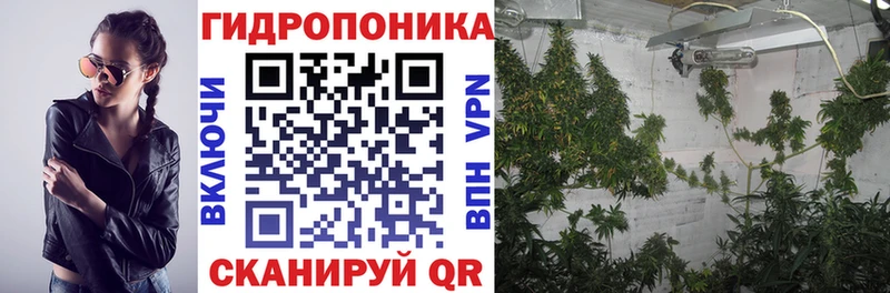 Купить закладки  Киренск  Шишки марихуана план 